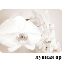 БОСТОН - 2 опоры Триумф в Талице - talica.mebel24.online | фото 18