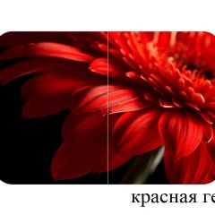 БОСТОН - 2 опоры Триумф в Талице - talica.mebel24.online | фото 50