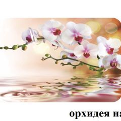 БОСТОН опоры Брифинг в Талице - talica.mebel24.online | фото 21