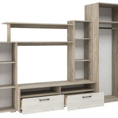 Гостиная Эмма (Дуб Крафт серый/белый) в Талице - talica.mebel24.online | фото 3