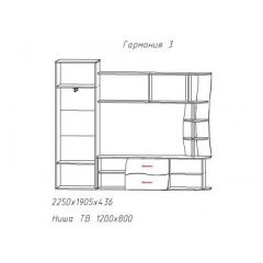 Гостиная ГАРМОНИЯ-3 (ЦРК.ГРМ.03) в Талице - talica.mebel24.online | фото 2
