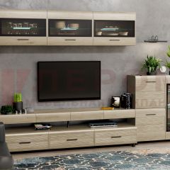 Гостиная Камелия Композиция 12 (Гикори Джексон светлый) в Талице - talica.mebel24.online | фото