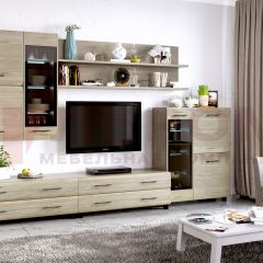 Гостиная Камелия Композиция 6 (Гикори Джексон светлый) в Талице - talica.mebel24.online | фото
