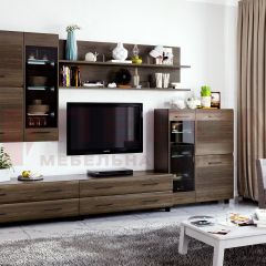 Гостиная Камелия Композиция 6 (Гикори Джексон темный) в Талице - talica.mebel24.online | фото