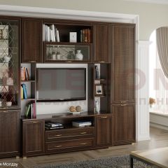 Гостиная Карина Композиция 2 (Акация Молдау) в Талице - talica.mebel24.online | фото