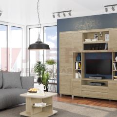 Гостиная Мелисса Композиция 2 (Гикори Джексон светлый) в Талице - talica.mebel24.online | фото
