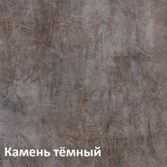 Крафт Полка для обуви 15.63 в Талице - talica.mebel24.online | фото 4