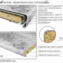 Кухонный фартук со столешницей (А-01) в едином стиле (3050 мм) в Талице - talica.mebel24.online | фото 6