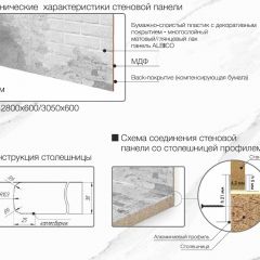 Кухонный фартук со столешницей (А-010) в едином стиле (3050 мм) в Талице - talica.mebel24.online | фото 6