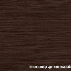 Кухонный гарнитур Полина стандарт 1600 в Талице - talica.mebel24.online | фото 12