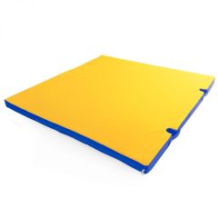Мат гимнастический 1х1х0,05м с вырезом под стойки цв. синий-желтый в Талице - talica.mebel24.online | фото