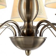 Подвесная люстра Arte Lamp Felcia A9368LM-5AB в Талице - talica.mebel24.online | фото 4