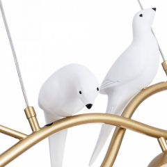 Подвесной светильник Arte Lamp Eltanin A3422SP-4GO в Талице - talica.mebel24.online | фото 4