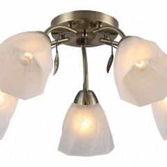 Потолочная люстра Rivoli Olivia Б0052693 в Талице - talica.mebel24.online | фото