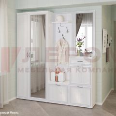 Прихожая Карина композиция 1 (Снежный ясень) в Талице - talica.mebel24.online | фото