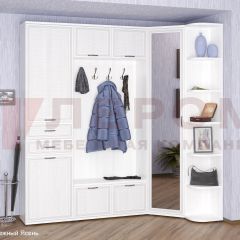 Прихожая Карина композиция 3 (Снежный ясень) в Талице - talica.mebel24.online | фото