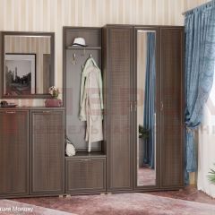 Прихожая Карина композиция 4 (Акация Молдау) в Талице - talica.mebel24.online | фото