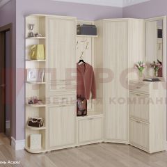 Прихожая Карина композиция 5 (Ясень Асахи) в Талице - talica.mebel24.online | фото