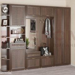 Прихожая Карина композиция 7 (Акация Молдау) в Талице - talica.mebel24.online | фото