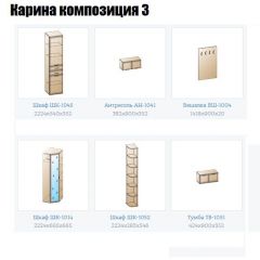 Прихожая Карина (модульная) в Талице - talica.mebel24.online | фото 8