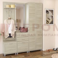 Прихожая Мелисса композиция 11 (Ясень Асахи) в Талице - talica.mebel24.online | фото