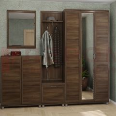 Прихожая Мелисса композиция 2 (Акация Молдау) в Талице - talica.mebel24.online | фото