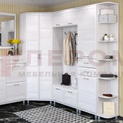 Прихожая Мелисса композиция 6 (Снежный Ясень) в Талице - talica.mebel24.online | фото