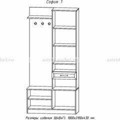 Прихожая София 1 в Талице - talica.mebel24.online | фото 3