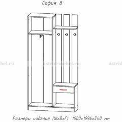 Прихожая София 8 в Талице - talica.mebel24.online | фото 2