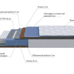 PROxSON Матрас Active Duo M/F (Ткань Трикотаж Эко) 200x190 в Талице - talica.mebel24.online | фото 7