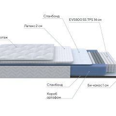 PROxSON Матрас Active Duo S/F (Ткань Трикотаж Эко) 160x190 в Талице - talica.mebel24.online | фото 6