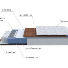 PROxSON Матрас Active F (Ткань Трикотаж Эко) 160x200 в Талице - talica.mebel24.online | фото 7