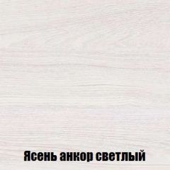Шкаф 2-х створчатый МСП-1 (Ясень Анкор светлый) в Талице - talica.mebel24.online | фото 4