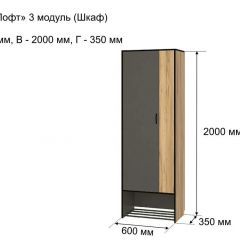 ОЛЬГА-ЛОФТ 3 Шкаф 2-х створчатый в Талице - talica.mebel24.online | фото 4