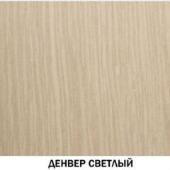 Шкаф для одежды №609 "Инна" Денвер светлый (*без полок) в Талице - talica.mebel24.online | фото 2