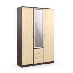Шкаф комбинированный Дуэт Люкс с зеркалом в Талице - talica.mebel24.online | фото