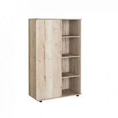 Шкаф комбинированный Дельта Лофт-13 Дуб Ирладндский в Талице - talica.mebel24.online | фото