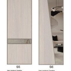 Шкаф-купе 1300 серии SILVER S4+S3Z+B2+PL1 (2 ящика+1 штанга) профиль «Серебро» в Талице - talica.mebel24.online | фото 11