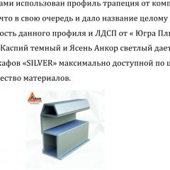 Шкаф-купе 1500 серии SILVER S1+S1+B2+PL2 (2 ящика+1 штанга+1 полка) профиль «Серебро» в Талице - talica.mebel24.online | фото 4