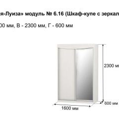 Шкаф-купе 1600 с зеркалом "Мария-Луиза 6.16" в Талице - talica.mebel24.online | фото 4