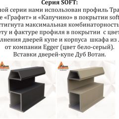 Шкаф-купе 1600 серии SOFT D1+D3+B2+PL1 (2 ящика+1штанга) профиль «Графит» в Талице - talica.mebel24.online | фото 11