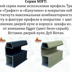 Шкаф-купе 1600 серии SOFT D8+D2+B2+PL4 (2 ящика+F обр.штанга) профиль «Графит» в Талице - talica.mebel24.online | фото 12