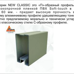 Шкаф-купе 2150 серии NEW CLASSIC K6Z+K1+K6+B22+PL1 (по 2 ящика лев/прав+1 штанга) профиль «Капучино» в Талице - talica.mebel24.online | фото 17