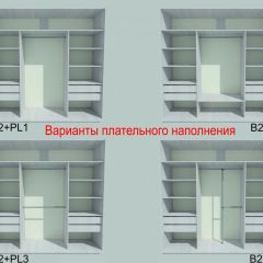 Шкаф-купе 2250 серии SILVER S3+S1+S4 B22+PL3 (по 2 ящика лев/прав+2 штанги) профиль «Серебро» в Талице - talica.mebel24.online | фото 6