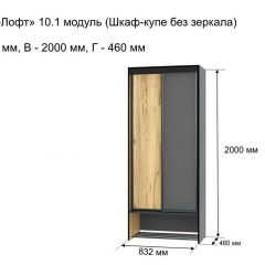 ОЛЬГА-ЛОФТ 10.1 Шкаф-купе без зеркала в Талице - talica.mebel24.online | фото 3