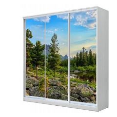 Шкаф-купе ХИТ 22-18-777 (620) в Талице - talica.mebel24.online | фото