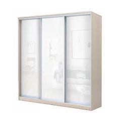 Шкаф-купе ХИТ 22-20-888 (620) в Талице - talica.mebel24.online | фото 5