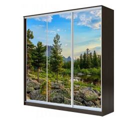 Шкаф-купе ХИТ 23-4-18-777 (420) в Талице - talica.mebel24.online | фото 1