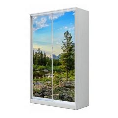 Шкаф-купе ХИТ 24-4-17-77 (420) в Талице - talica.mebel24.online | фото
