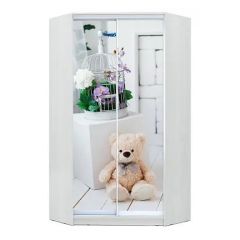 Шкаф-купе ХИТ-У-23-4-77 в Талице - talica.mebel24.online | фото